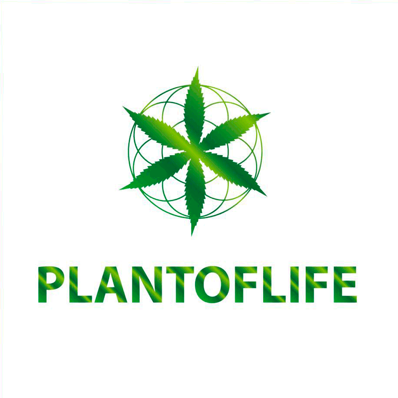 Plant of Life Seeds